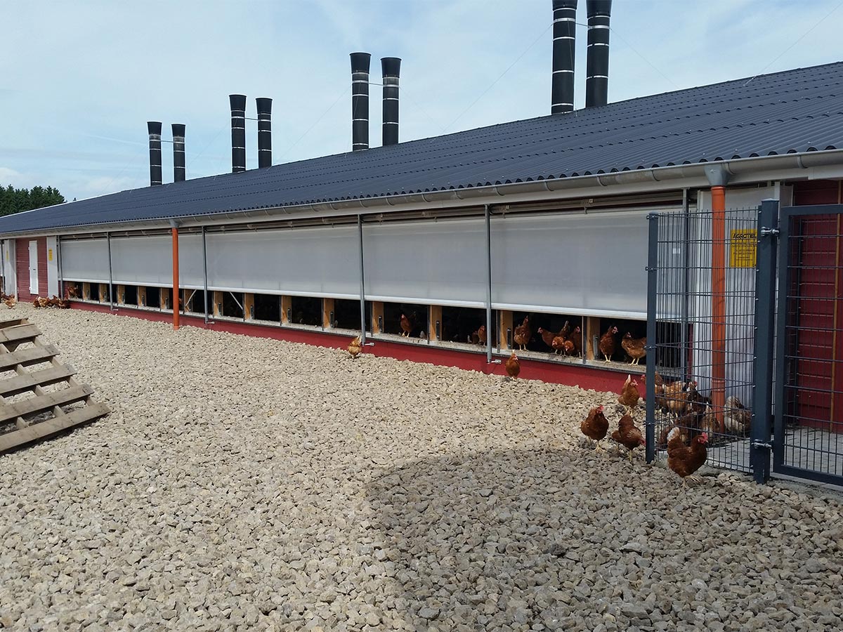 AGROTEL-Stallbau-Hühnerhaltung_6