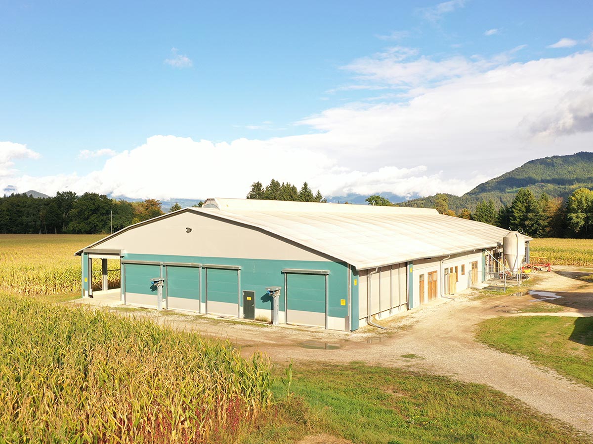 AGROTEL Milchviehstall - Profilträgerhalle mit Curtains, Toren und Lüftungsfirst