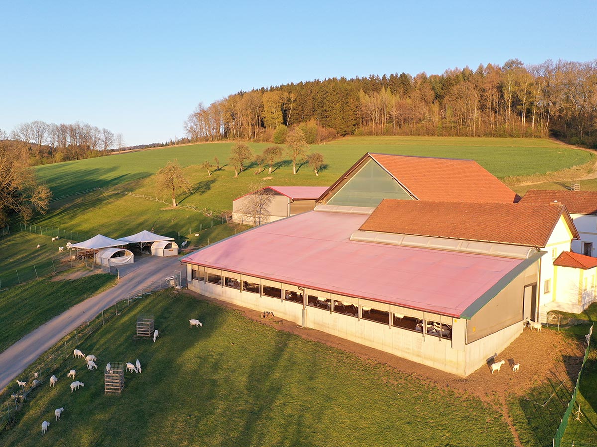 Pultdachhallen als Stallanbau für Ziegenhaltung