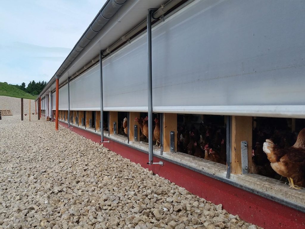 Geflügelhaltung: Hühnerstall mit Windschutz Curtains WSS1
