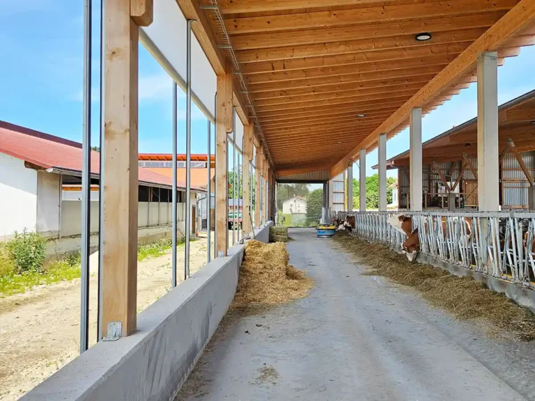 Tierwohl-Milchviehlaufstall mit natürlicher Belüftung durch aufrollbare Curtains und Windschutztore