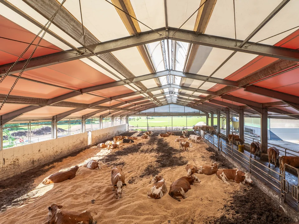 Licht- und luftdurchfluteter AGROTEL Tierwohlstall: Kompoststall mit Planen-Eindeckung, regelbarem Licht-Lüftungsfirst und Windschutzsystemen und Toren