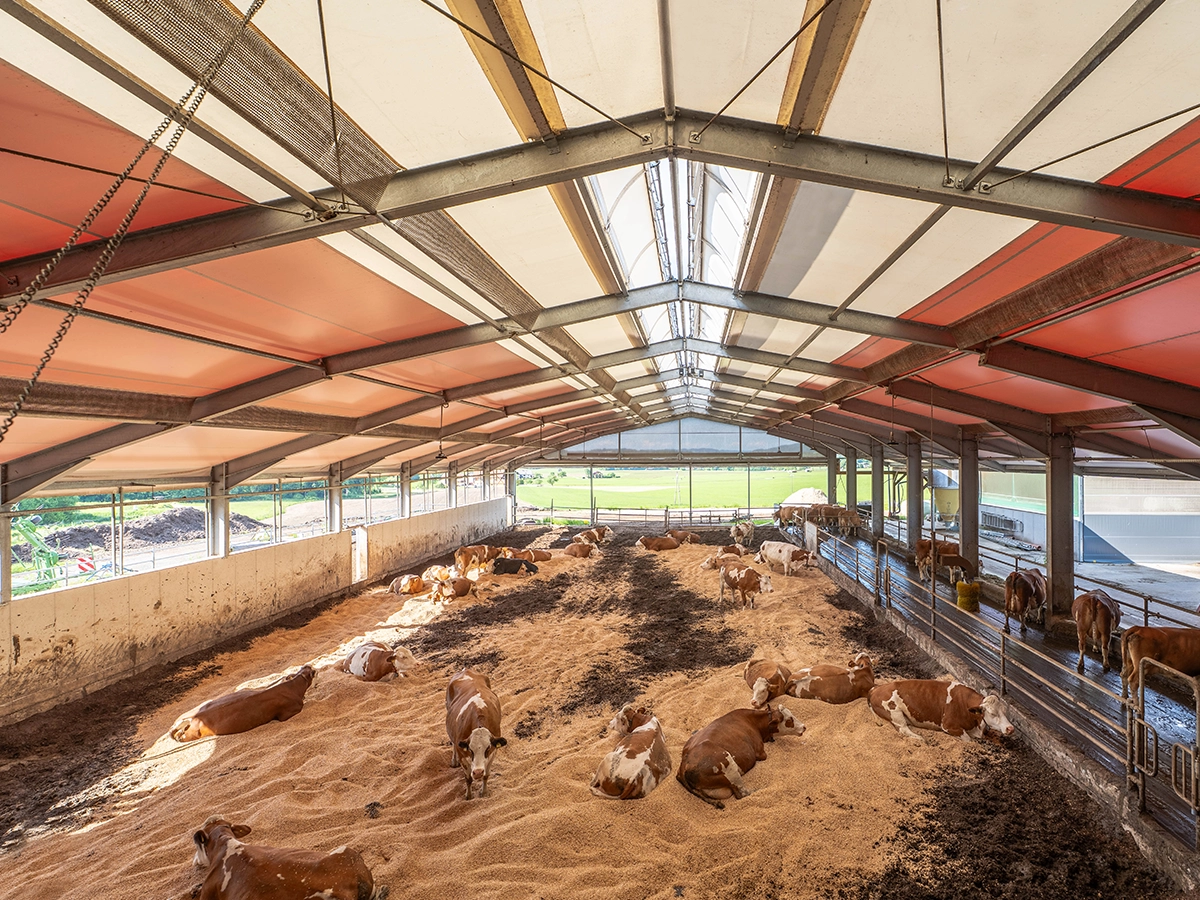 Licht- und luftdurchfluteter AGROTEL Tierwohlstall: Kompoststall mit Planen-Eindeckung, regelbarem Licht-Lüftungsfirst und Windschutzsystemen und Toren