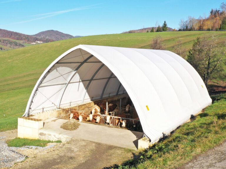 AGROTEL Bogenhalle als Rinderstall