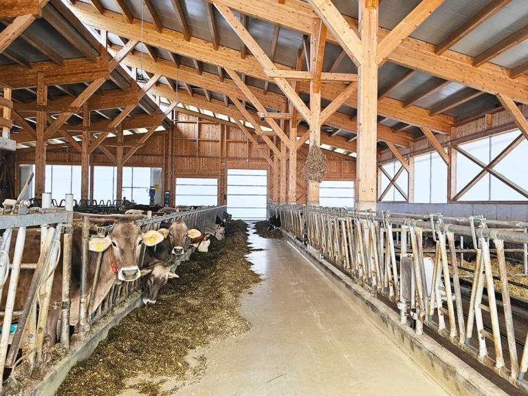 Milchviehstall mit offenem Stallklima und Windschutzsystemen in Weißkirchen Steiermark