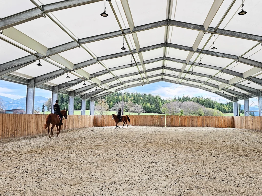 Pferdetraining unter moderner Reitplatzüberdachung