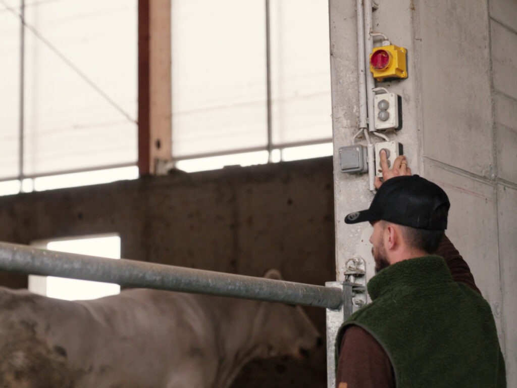 Nino Sifkovits bedient die elektronische Steuerung der AGROTEL Curtains für optimale Stalllüftung und mehr Tierwohl.