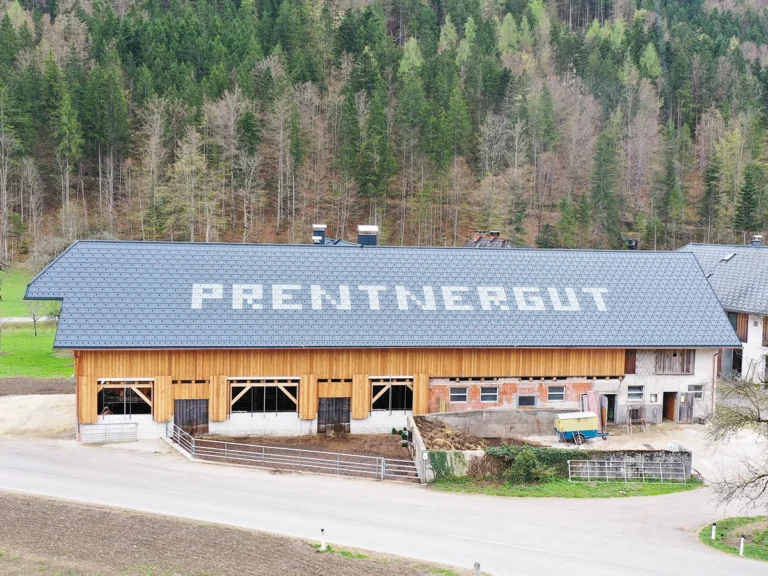 Das Prentnergut im Hinterstoder-Tal: Lichtdurchfluteter Milchviehstall mit Curtains und Rolltoren für die moderne Milchviehhaltung