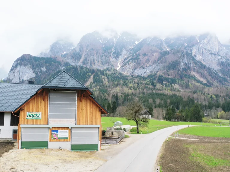 Moderner Milchviehstall der Familie Pernkopf im Hionterstoder-Tal mit AGROTEL Curtains für optimale Stalllüftung und natürliches Stallklima