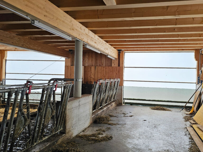 Innenansicht der lichtdurchlässigen Windschutz-Rolltore im hellen Tierwohl-Lauftstall.