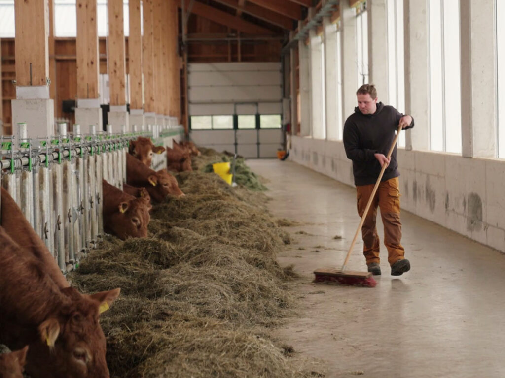 Florian Reinbacher im modernen Mutterkuhstall mit AGROTEL Curtains.