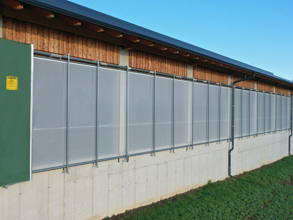 AGROTEL Curtains am Rinderstall sorgen für natürliche Belüftung und Frischluft im Stall.