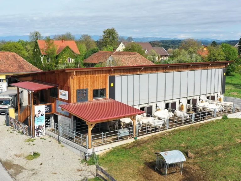 Offene Stallarchitektur am Chianinahof mit Curtains zur Verbesserung des Stallklimas und für mehr Licht und Luft.