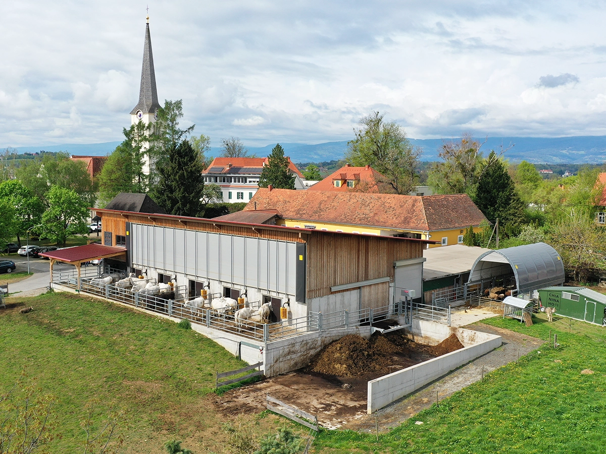 Windschutztore und Curtains Stall System am Chianinahof ermöglichen eine flexible Steuerung von Licht und Luft.