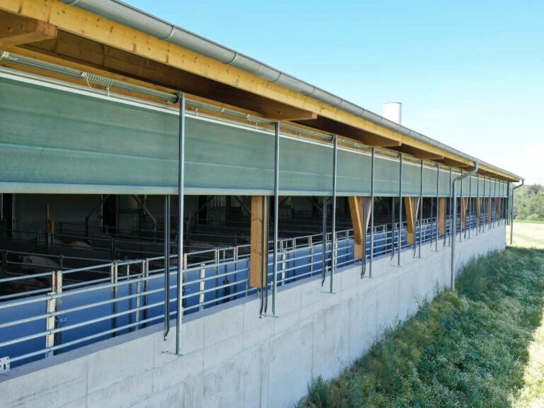 Teilweise geöffnete Curtains am Schweinestall Friedl für regulierbaren Außenklimaeinfluss