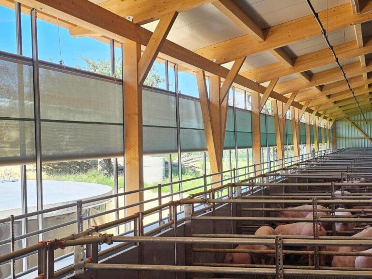 Tageslicht und Frischluft im Schweinestall durch großflächig regulierbare Curtain-Systeme